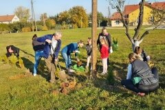 13.10.2018_-_BIO3_-__Pielegnacja_i_ognisko__16_