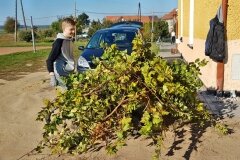 13.10.2018_-_BIO3_-__Pielegnacja_i_ognisko__41_