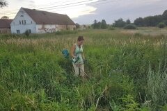 19.06.2018 - Nie wystarczy posadzić (2)
